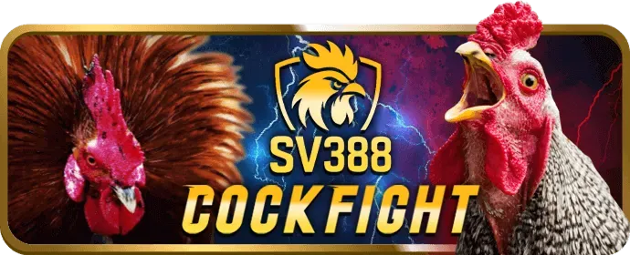 Công nghệ mã hóa SSL của xxx88